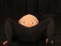 内定取消と留年決定。豚の独白からはじまるコントで1回戦敗退。