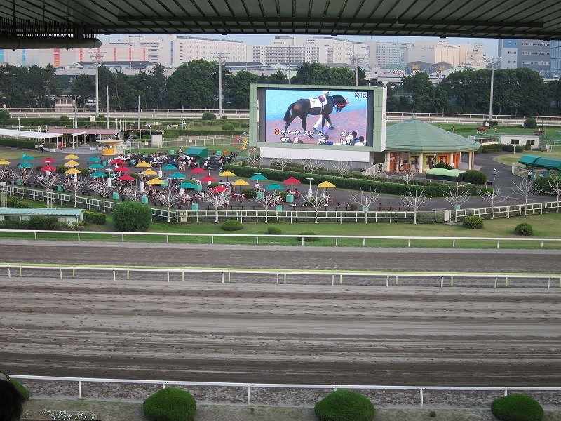 会場となった大井競馬場。本日8月12日（金）7R終了後には、AMEMIYAのイベントが開催される。