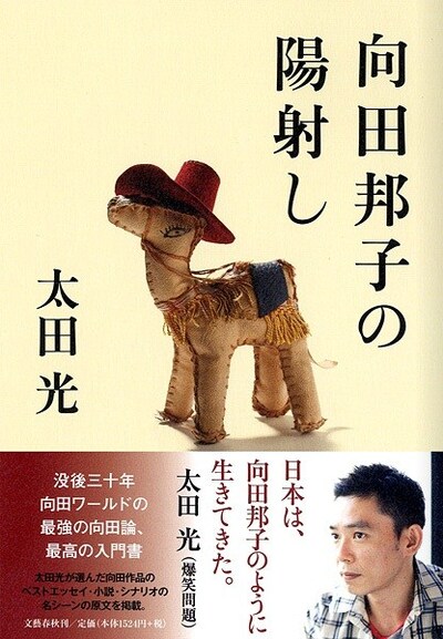 太田光著「向田邦子の陽射し」表紙。