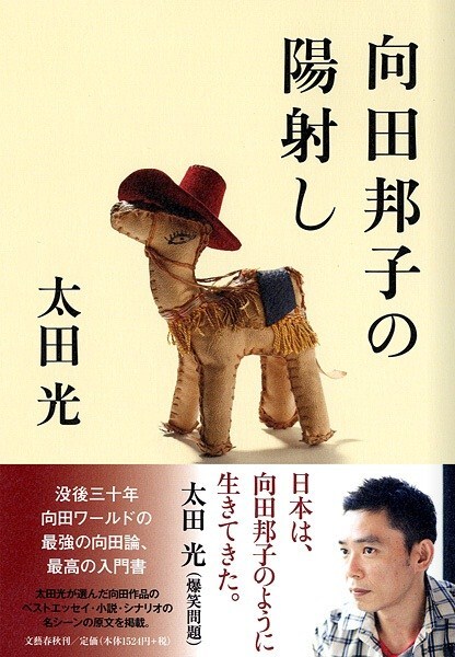 太田光著「向田邦子の陽射し」表紙。