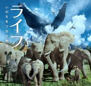 映画「ライフ―いのちをつなぐ物語―」イメージ。(c)BBC EARTHE PRODUCTIONS (LIFE) LIMITED MMXI.ALL RIGHTS RESERVED