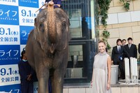 ゾウと土屋アンナ。