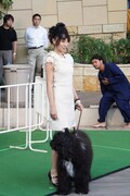 山本梓と愛犬プートリーちゃん。