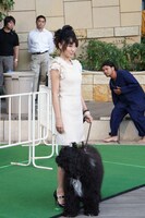 山本梓と愛犬プートリーちゃん。