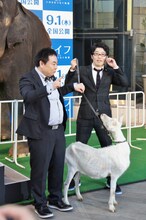 ドランクドラゴンとヤギ。