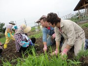 秋田では、山菜のウワバミソウを収穫。JA秋田しんせいでは農業園芸コースに参加した。