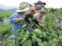 和歌山ではいちじくジャム作りのグループと一緒に地場産の梅干（紀の川梅干）入りジャム作りを体験したほか、地場産野菜を使用したピザやうどんなどの創作料理も挑戦。