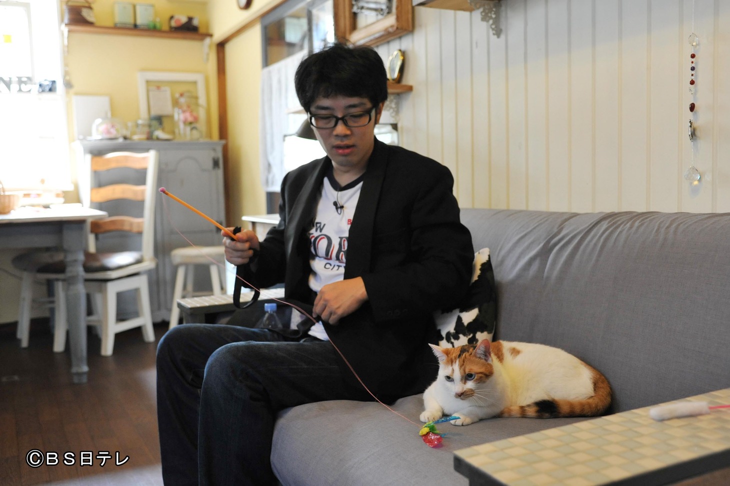 ドランクドラゴン鈴木とネコ。(c)BS日テレ