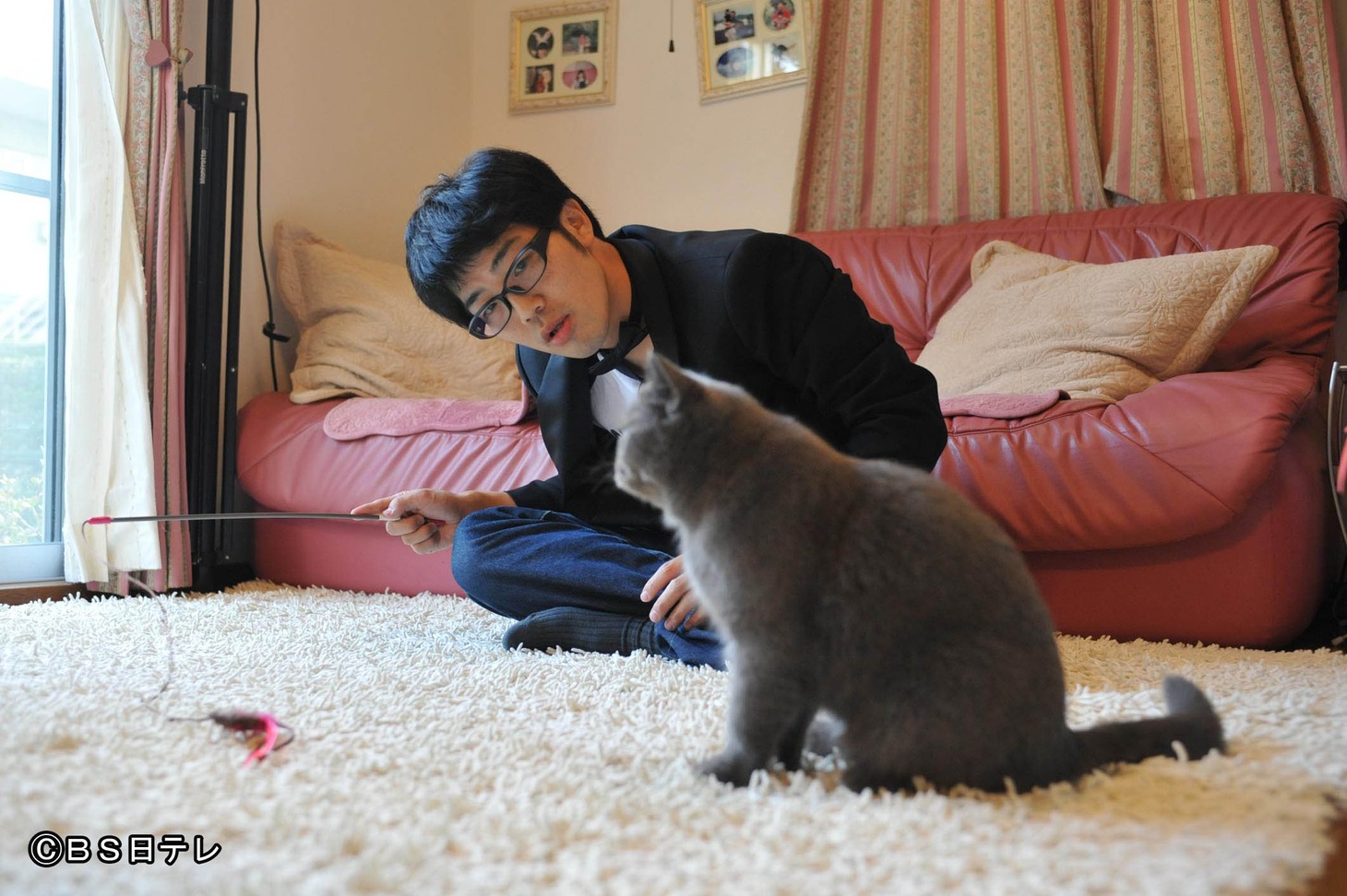 ドランクドラゴン鈴木とネコ。(c)BS日テレ