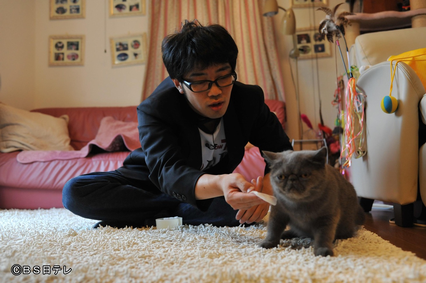 ドランクドラゴン鈴木とネコ。(c)BS日テレ
