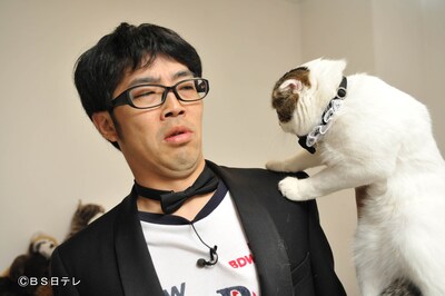 新番組「僕がネコに嫌われる理由」でネコたちと戯れるドランクドラゴン鈴木。(c)BS日テレ