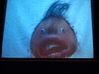 今回GyaO!にて冠番組を持つことになったさるひげさん。