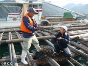 広島湾の牡蠣いかだの上で話を聞くアンガールズ山根（右）。(c)RCC