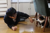 DVD「僕がネコに嫌われる理由」の一場面。(c)BS日テレ