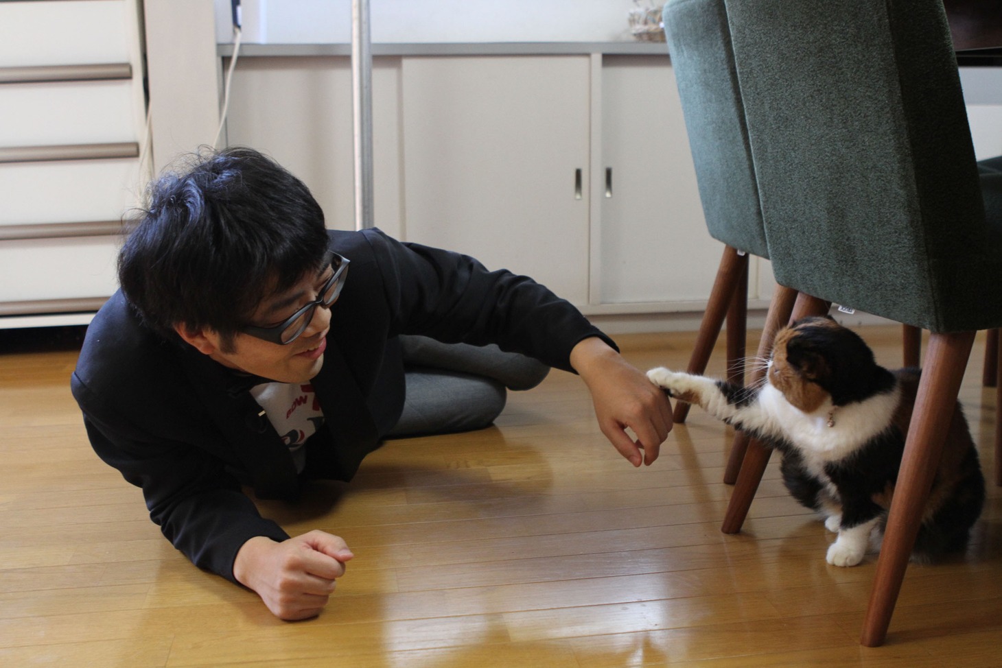 DVD「僕がネコに嫌われる理由」の一場面。(c)BS日テレ