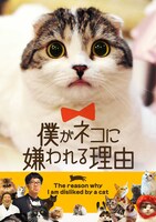 DVD「僕がネコに嫌われる理由」ジャケット。(c)BS日テレ