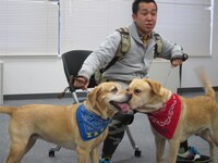 仲良くじゃれあう2匹。