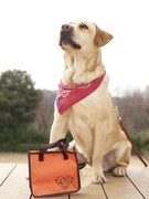 映画「LOVE　まさお君が行く！」の前売特典「おさんぽバッグ」。松本秀樹が監修。(c)2012「LOVE まさお君がいく！」製作委員会