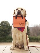 映画「LOVE　まさお君が行く！」の前売特典「おさんぽバッグ」。松本秀樹が監修。(c)2012「LOVE まさお君がいく！」製作委員会