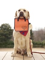 映画「LOVE　まさお君が行く！」の前売特典「おさんぽバッグ」。松本秀樹が監修。(c)2012「LOVE まさお君がいく！」製作委員会