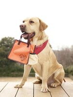 映画「LOVE　まさお君が行く！」の前売特典「おさんぽバッグ」。松本秀樹が監修。(c)2012「LOVE まさお君がいく！」製作委員会