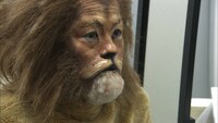 「バカリズム THE MOVIE」制作ドキュメント総集編の一場面。第3回ではバカリズムが特殊メイクでライオンに変身した。