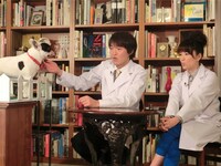 「犬とジュニアのワンダフルリポート」(c)ABC