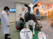 明治乳業みるく館で乳搾りの疑似体験を楽しむメンバーたち。