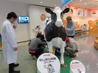 明治乳業みるく館で乳搾りの疑似体験を楽しむメンバーたち。