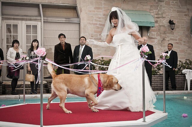 「LOVE　まさお君が行く！」に出演しているオアシズ大久保。（C）2012『LOVE まさお君が行く！』製作委員会