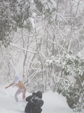 6月12日から26日まで、東京・下北沢HIBOU HIBOUにて行われる「ハブ展」の撮影に挑むBコース・ハブ。