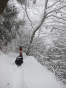 謎の生物 in 雪山