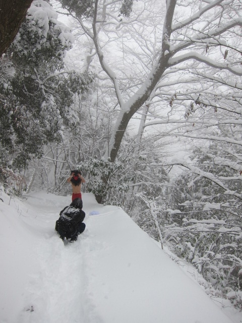 謎の生物 in 雪山