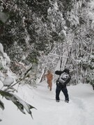 おなじみの全身肌色バージョンで雪山を疾走するハブ。