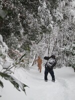 おなじみの全身肌色バージョンで雪山を疾走するハブ。