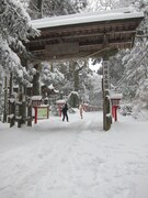おなじみのエビフライと神社のコラボ。