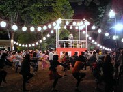 映画「バカリズム THE MOVIE」本番撮影の様子。