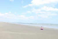 6月12日（火）より、東京・下北沢HIBOU HIBOUにて行われる「ハブ展」のキービジュアル。