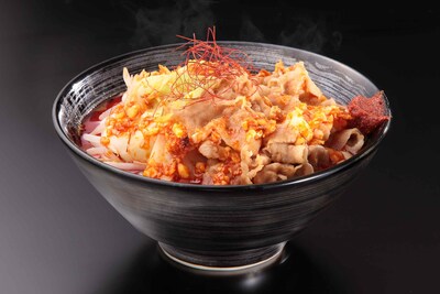 「宅麺.com」で注文できる「麺創研かなで 紅」のラーメン。