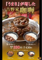 「こく旨カレー」と「旨辛カレー」をリニューアル発売した吉野家。