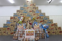 うまい棒に囲まれるまさお君。(C)2012「LOVE　まさお君が行く！」製作委員会