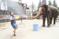 「スギちゃんのワイルド100」。(c)BeeTV