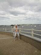 江の島に突如現れたシルバーウルフ。ロシア生まれのシルバーウルフと常夏の湘南。