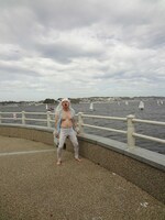 江の島に突如現れたシルバーウルフ。ロシア生まれのシルバーウルフと常夏の湘南。