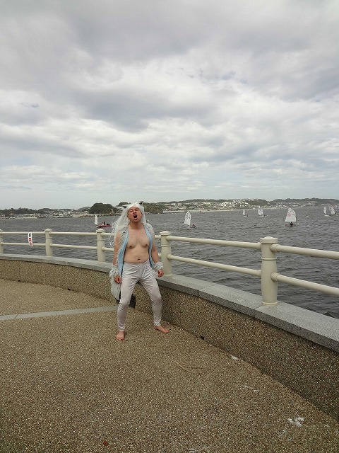 江の島に突如現れたシルバーウルフ。ロシア生まれのシルバーウルフと常夏の湘南。