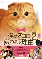 DVD「僕がネコに嫌われる理由 シーズン2」ジャケット。
