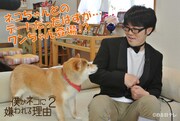 DVD「僕がネコに嫌われる理由 シーズン2」のイメージカット。犬が登場している。(c)BS日テレ