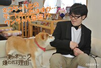 DVD「僕がネコに嫌われる理由 シーズン2」のイメージカット。犬が登場している。(c)BS日テレ