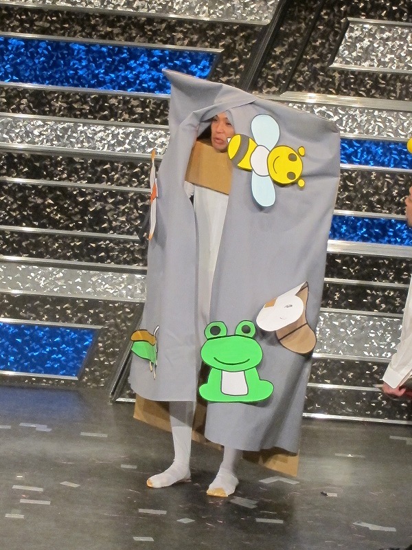 有名虫がたくさん集まるカベ。生息地はホテルニューオカベ周辺。