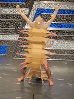 ニセムカデガニモドキの生息地は床下。